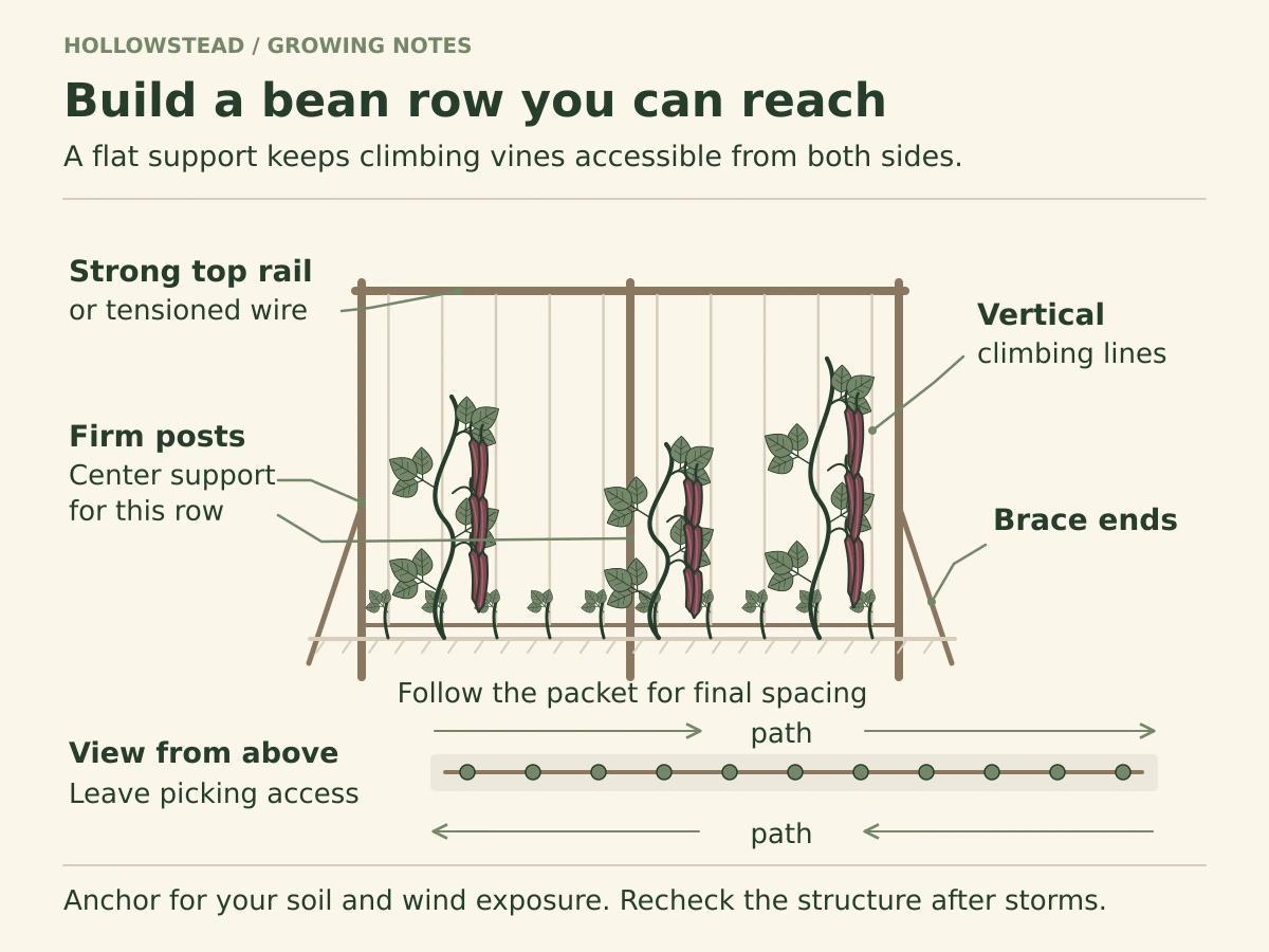 Flat bean row trellis with three posts, a top rail, vertical climbing strings, end bracing and a plan-view inset showing access on both sides.