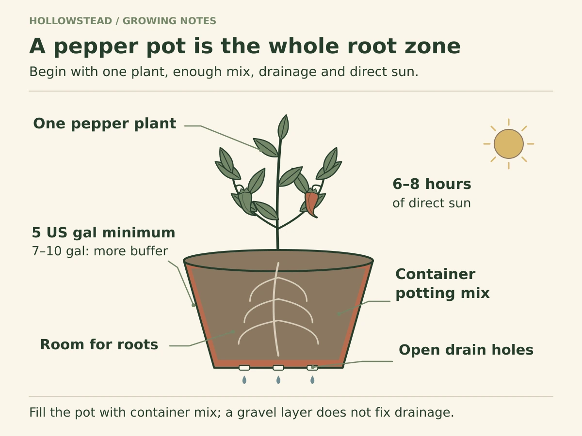 A single pepper in a broad pot cross-section with roots, airy potting mix, drainage holes and direct-sun guidance.