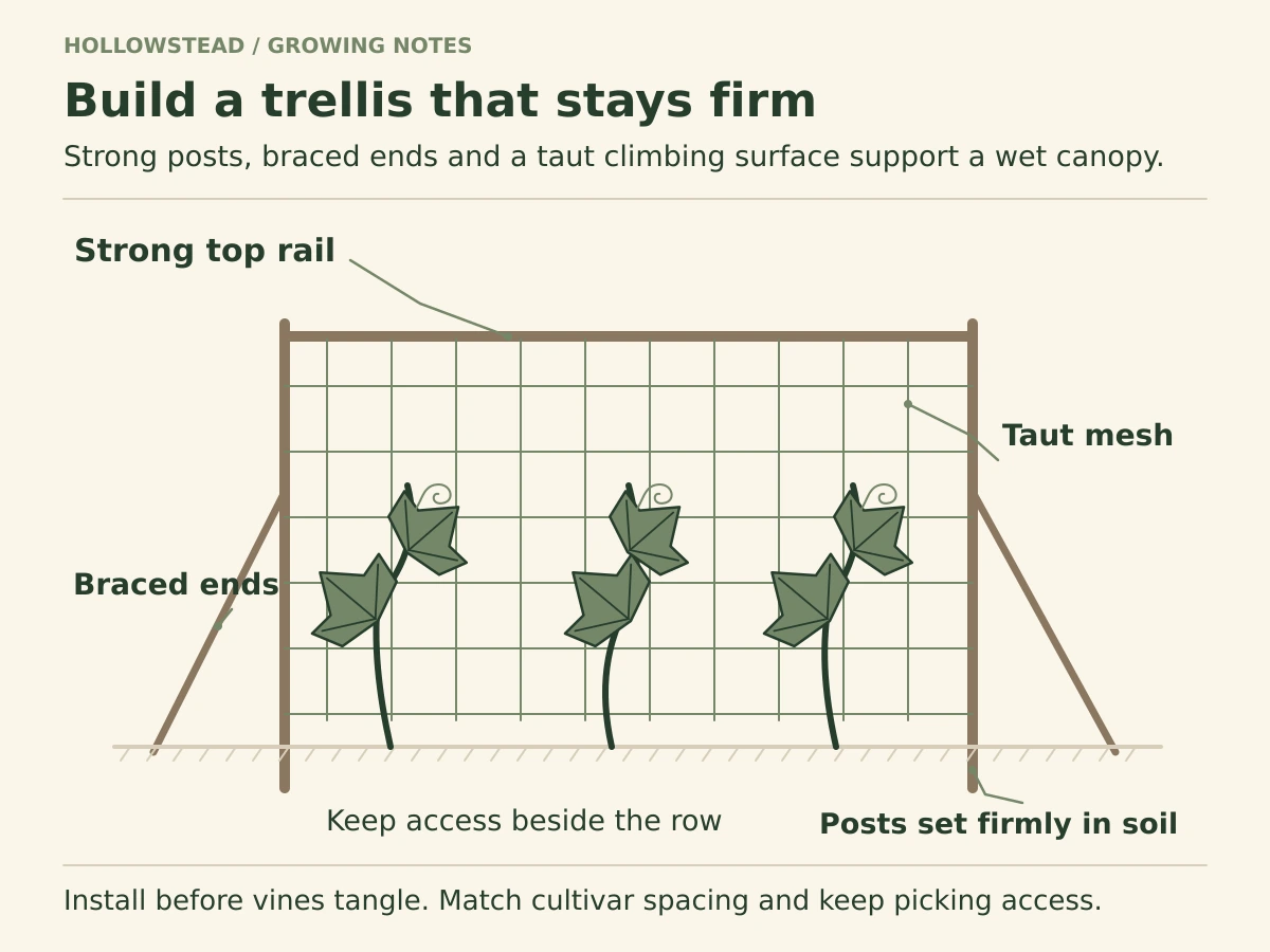 A row cucumber trellis has braced end posts, a sturdy top rail, taut mesh and spaced vines planted at the base. Leaders identify structural parts and the buried ends of the posts.