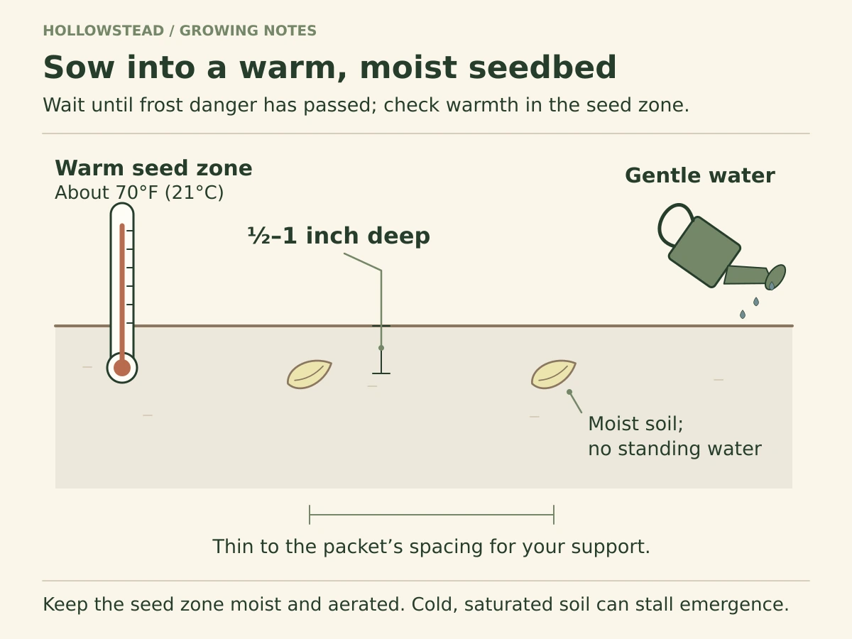 Cross-section of cucumber seed sown half to one inch below the soil surface, with a soil thermometer, gentle watering and a final-spacing bracket referring to the packet and support plan.