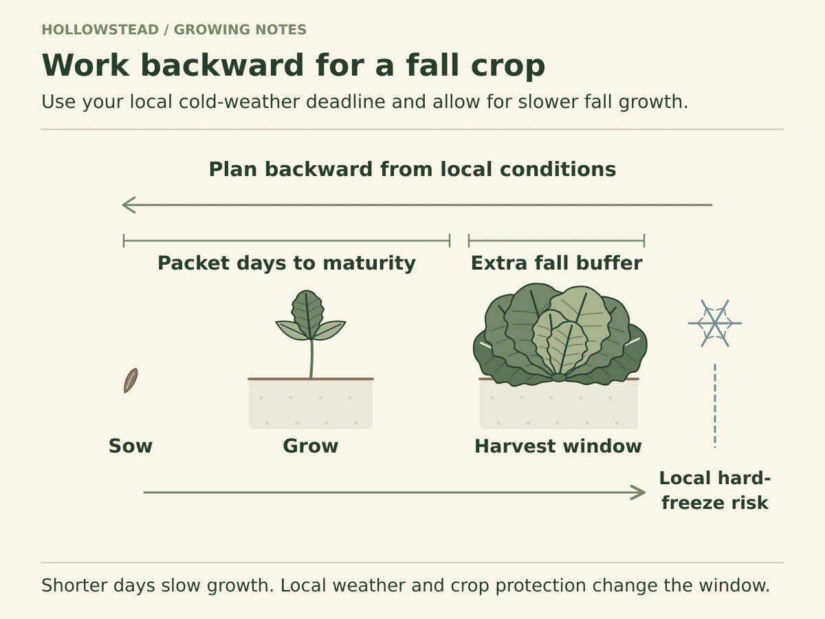 A fall planning timeline shows sowing, seedling growth, harvestable lettuce and a local hard-freeze risk marker, with separate spans for packet maturity days and an added fall growth buffer.