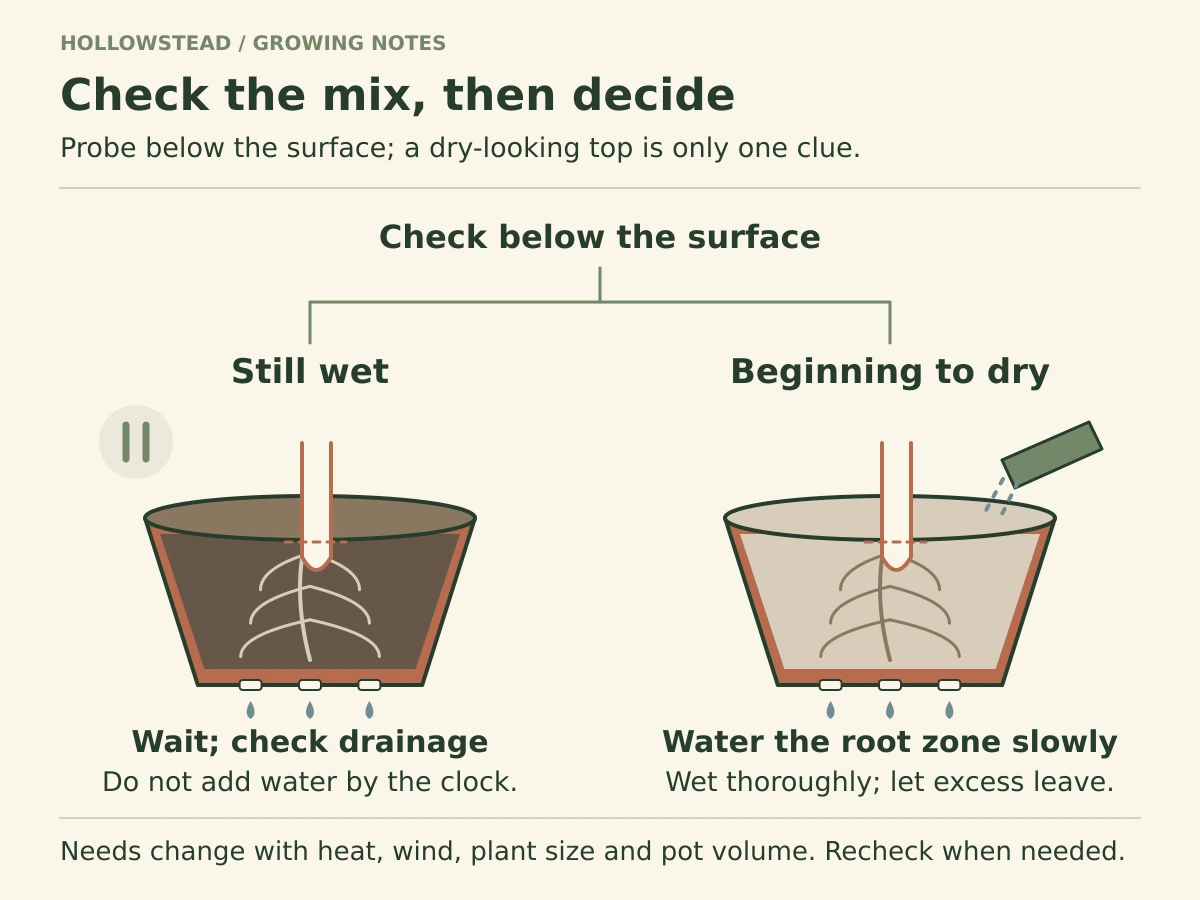 Two schematic container checks. A pot that remains wet calls for waiting and checking drainage; a drying root zone calls for slow thorough watering that can drain.
