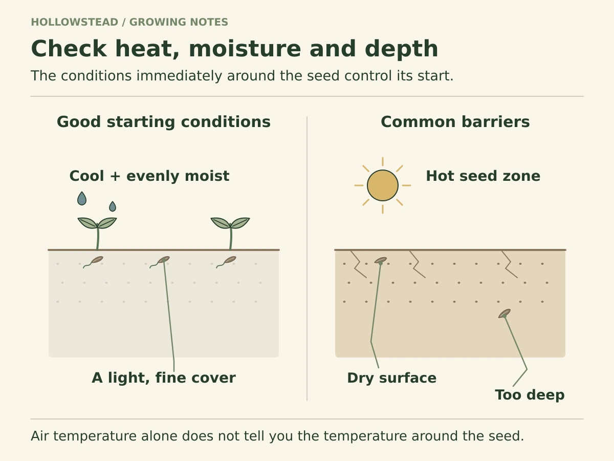 A cool, moist, lightly covered lettuce seed zone is compared with hot, dry surface soil and deeply buried seed. The good seed zone has emerging seedlings.