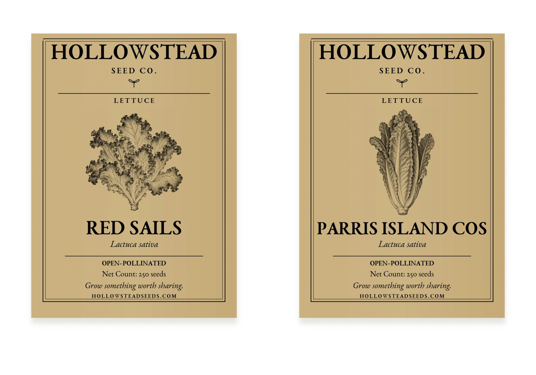 Hollowstead Lettuce Duo — all 2 included kraft seed packets