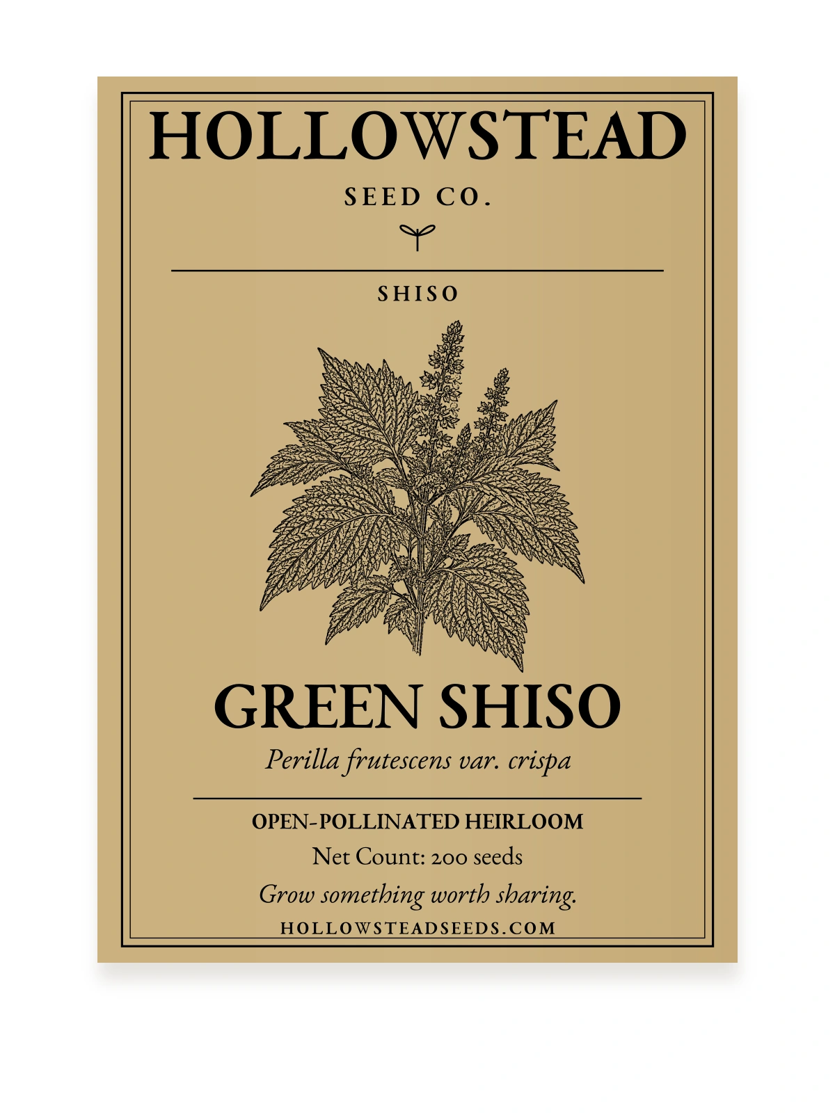Green Shiso Seeds — kraft seed packet front