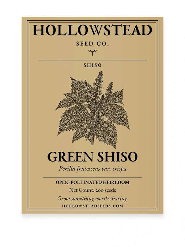 Green Shiso Seeds — kraft seed packet front