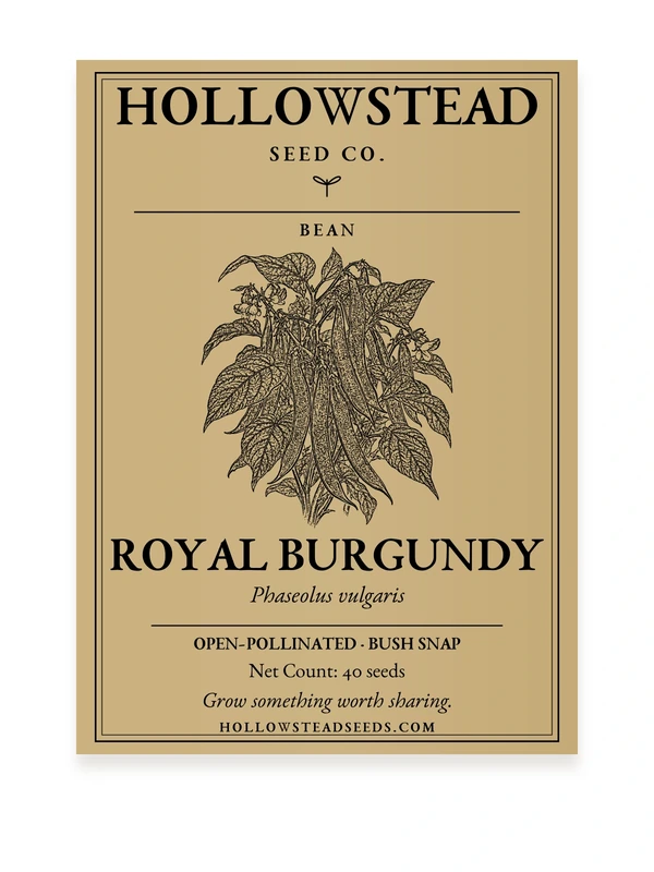 Royal Burgundy Bush Bean Seeds — kraft seed packet front